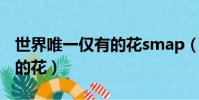世界唯一僅有的花smap(smap 世界上唯一的花)