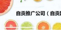 自貢推廣公司(自貢網絡推廣)