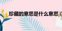 珍藏的意思是什么意思(珍藏的意思)