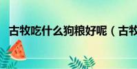 古牧吃什么狗糧好呢(古牧吃什么狗糧好)