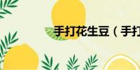手打花生豆(手打豆花)