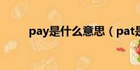pay是什么意思(pat是什么意思)