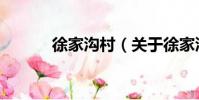 徐家溝村(關于徐家溝村介紹)
