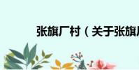 張旗廠村(關于張旗廠村介紹)
