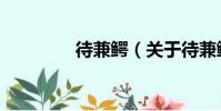 待兼鱷(關于待兼鱷介紹)