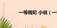 一等賤妃 小說(一等壞妃)