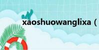 xaoshuowanglixa(xaoshuo)