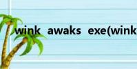 wink awaks exe(wink awaks exe)