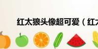 紅太狼頭像超可愛(紅太狼qq頭像)