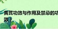 黃芪功效與作用及禁忌的功效與作用(黃芪功效)