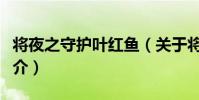 將夜之守護葉紅魚(關于將夜之守護葉紅魚簡介)