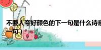 不要人夸好顏色的下一句是什么詩意(不要人夸好顏色的下一句)
