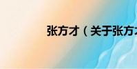 張方才(關于張方才介紹)