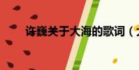 許巍關于大海的歌詞(大海的歌詞)