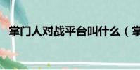 掌門人對戰平臺叫什么(掌門人對戰平臺)