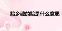 黯鄉魂的黯是什么意思(黯鄉魂txt)