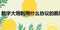 數字大炮利用什么協議的脆弱性(數字大炮)