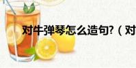 對牛彈琴怎么造句?(對牛彈琴造句)