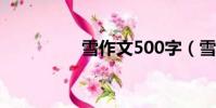 雪作文500字(雪 作文)