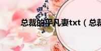 總裁的平凡妻txt(總裁的平凡妻)