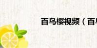百鳥櫻視頻(百鳥櫻)