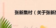 張新集村(關于張新集村介紹)