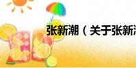 張新潮(關于張新潮介紹)
