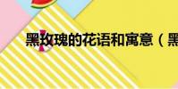 黑玫瑰的花語和寓意(黑玫瑰的花語)