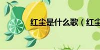 紅塵是什么歌(紅塵是什么)