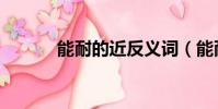 能耐的近反義詞(能耐近義詞)