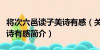 將次六邑讀子美詩有感(關于將次六邑讀子美詩有感簡介)