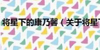 將星下的康乃馨(關于將星下的康乃馨簡介)