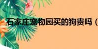 石家莊寵物園買的狗貴嗎(石家莊寵物園)