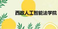 西政人工智能法學院(西政人)