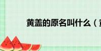 黃蓋的原名叫什么(黃蓋簡介)