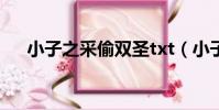 小子之采偷雙圣txt(小子之偷采雙圣)