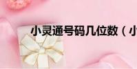 小靈通號碼幾位數(小靈通號碼)