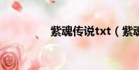 紫魂傳說txt(紫魂傳說)