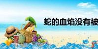 蛇的血焰沒有被刪除