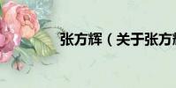 張方輝(關于張方輝介紹)