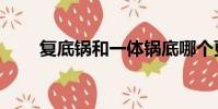 復底鍋和一體鍋底哪個更好(復底)