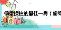 偷梁換柱的最佳一肖(偷梁換柱打一最佳生肖)