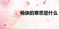 暢快的意思是什么(暢快)