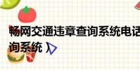 暢網交通違章查詢系統電話(暢網交通違章查詢系統)