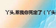 丫頭,惹我你死定了(丫頭惹我你死定了)