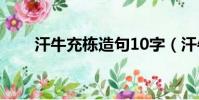 汗牛充棟造句10字(汗牛充棟造句)