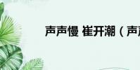 聲聲慢 崔開潮(聲聲慢 al)