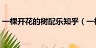 一棵開花的樹配樂知乎(一棵開花的樹配樂)