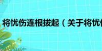 將憂傷連根拔起(關于將憂傷連根拔起簡介)