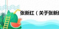 張新紅(關于張新紅介紹)